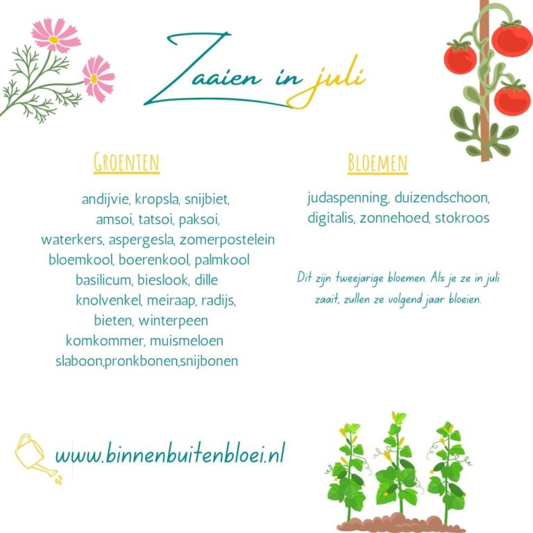 zaaikalender juli moestuin en bloemen