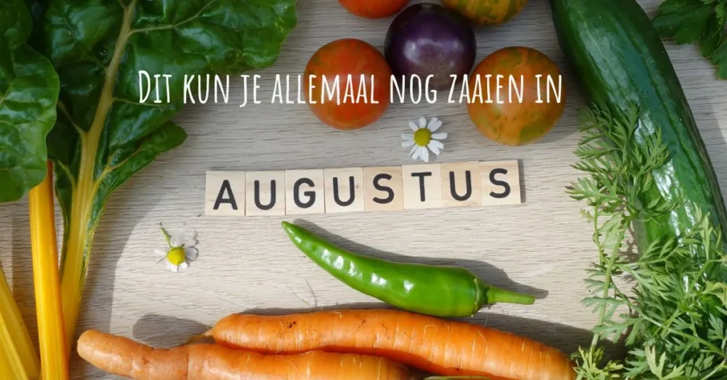 Wat kun je zaaien in augustus