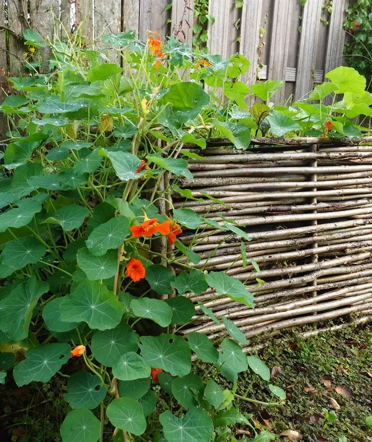 Hoge bak natuurlijke materialen