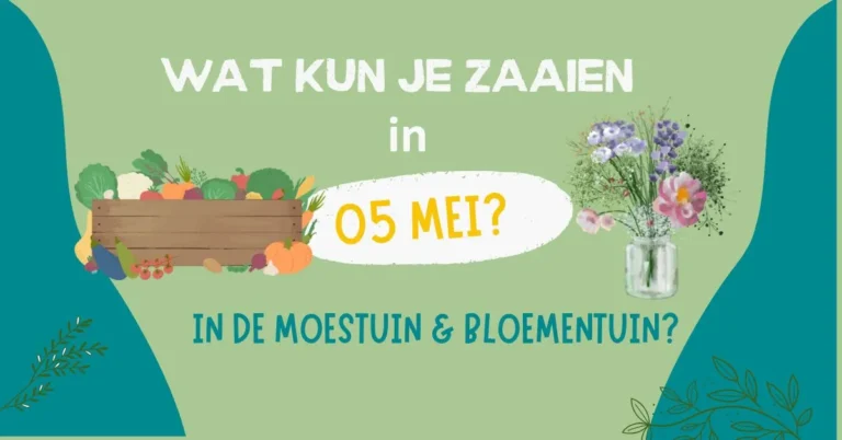 Wat kun je zaaien in mei