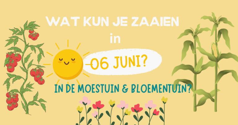 Wat kun je zaaien in juni