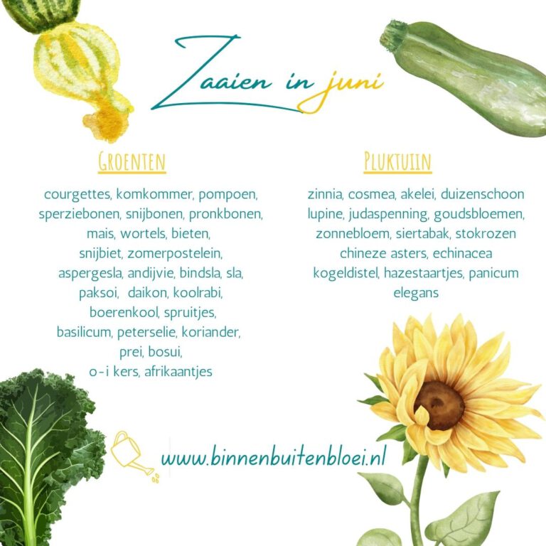 zaaikalender juni moestuin en bloemen