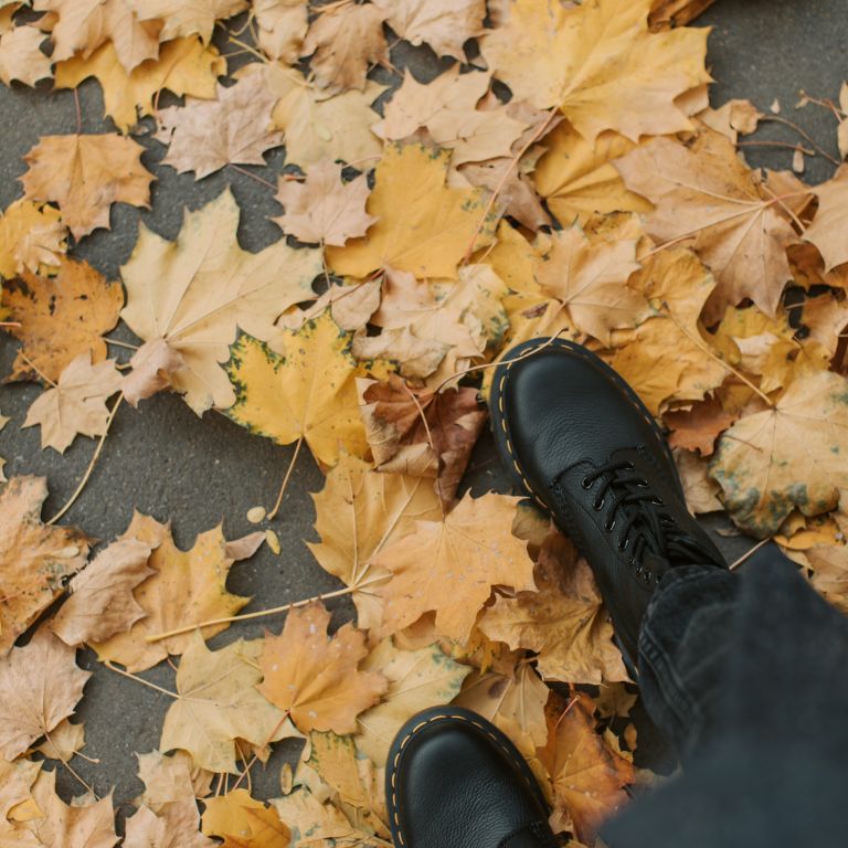 afgevallen bladeren opruimen