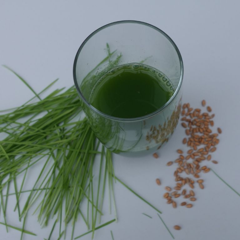 tarwegras kiemgroente