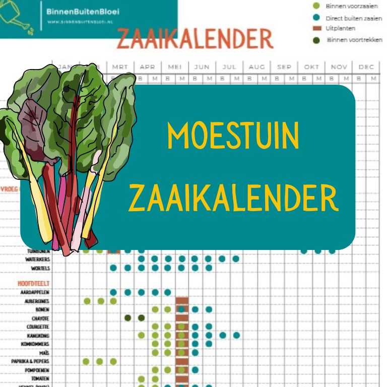 moestuin zaaikalender